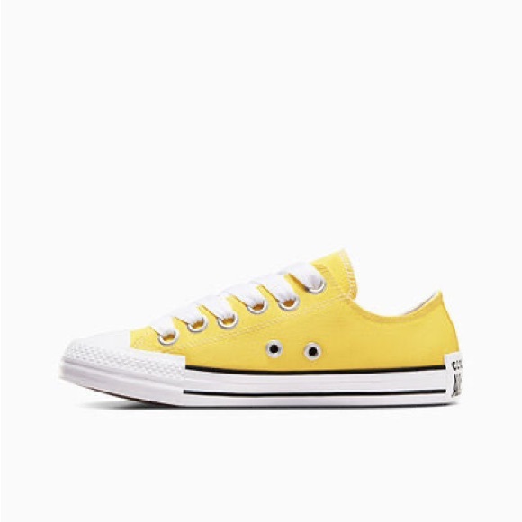 Converse Chuck Taylor All Star Low 'Sketch - Golden Wren'  A10360F - Picture 5 of 13